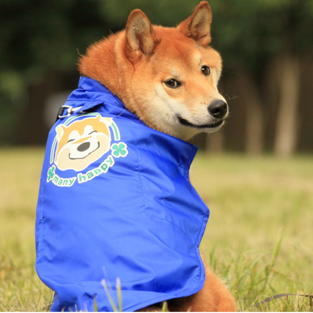 Shiba inu sale raincoat