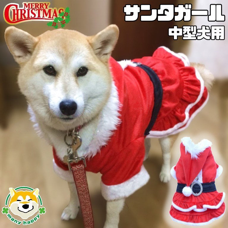 中型犬用 サンタガール 女の子 フリルスカート リアルサンタ服 Sサイズ