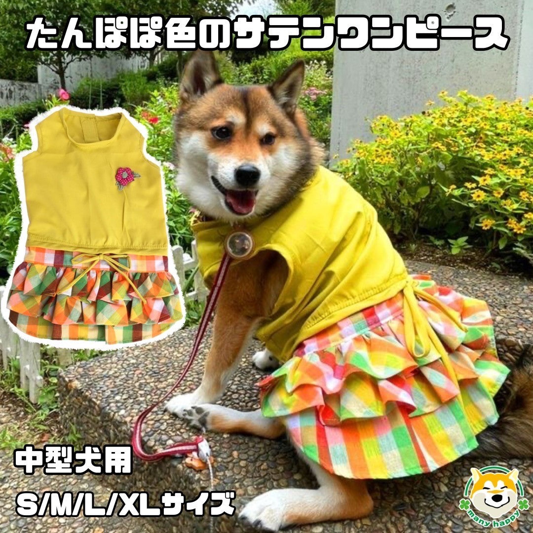 Clothes for 2025 medium sized dogs