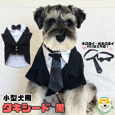 Small dog tuxedo black All sizes will be in stock in mid-March! !