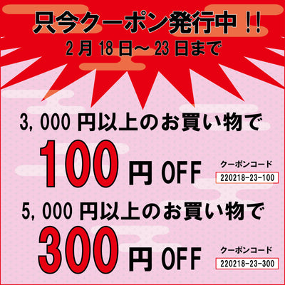 ２月23日まで！割引クーポン配布中です！クーポンコードを入力してね！