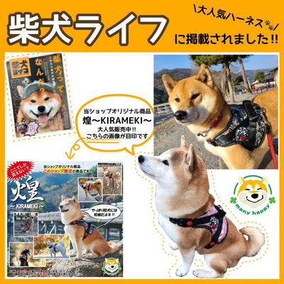 2021年 柴犬ライフに掲載されました！