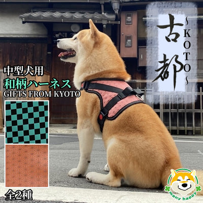 Shiba Inu Kouta Take a walk in a row of ginkgo trees Japanese pattern harness-ancient city-checkered pattern green