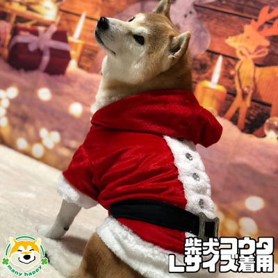 メリークリスマス！楽しいクリスマスをお過ごしいただけますように(^^♪