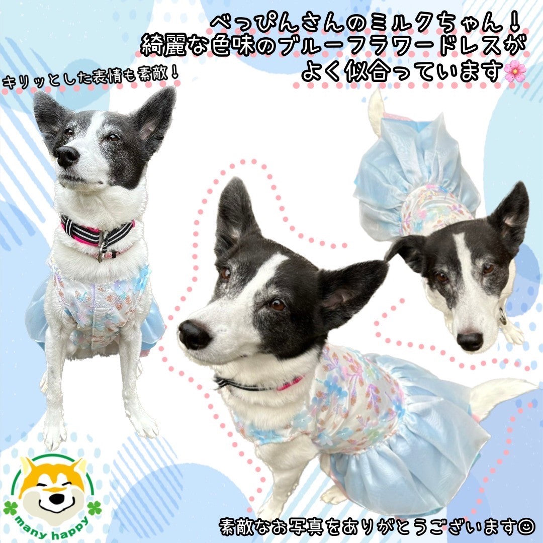 中型犬用 】 犬 服 ドレス ウェディング 花柄 お腹側マジックテープ留め 柴犬 パグ フレンチブルドッグ – 柴犬コウタのハッピィショップ